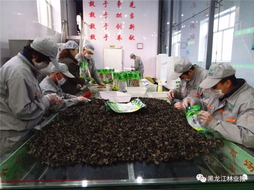 同心共筑梦 启航新征程 日用百货行业的发展与展望